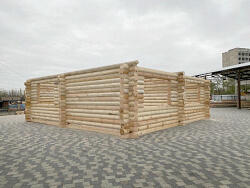 Строительство загородного деревянного коттеджа во Львовской области